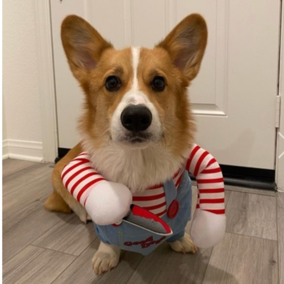 Chuck Halloween Costume for Dogs Size M - Picture 7 of 8